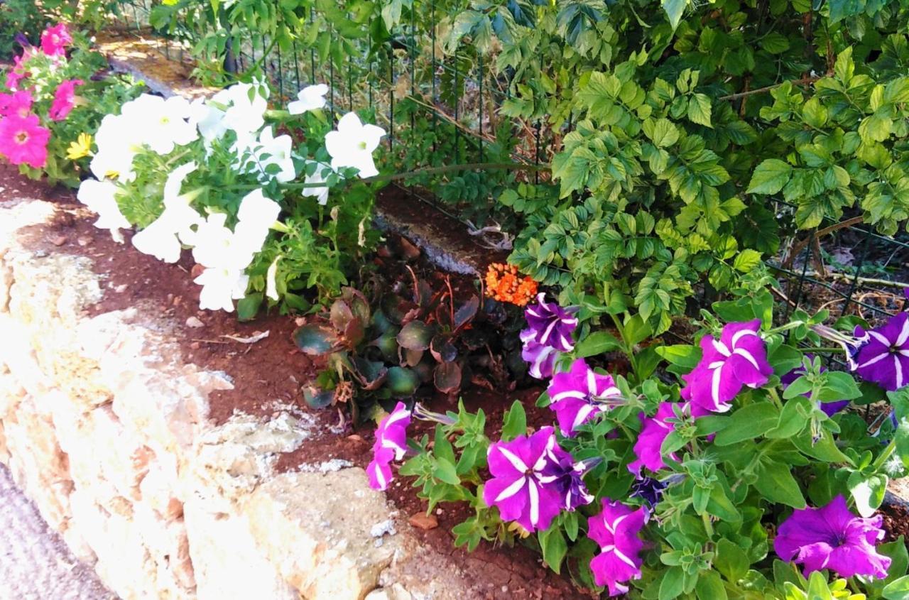 Villette Di Scopello - Casa Vacanze מראה חיצוני תמונה